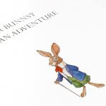 Mr Bunnsy has an Adventure
