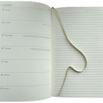 Inside Anthill Inside 2025 Diary